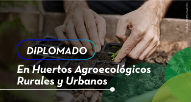 Diplomado en Huertos Agroecológicos Rurales y Urbanos