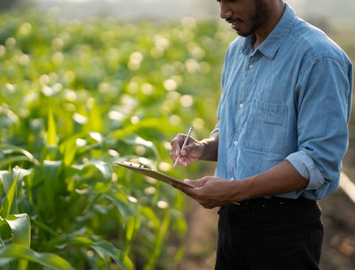 Diplomado en Formación de Mayordomo en Gestión de Haciendas en el Sector Agrario